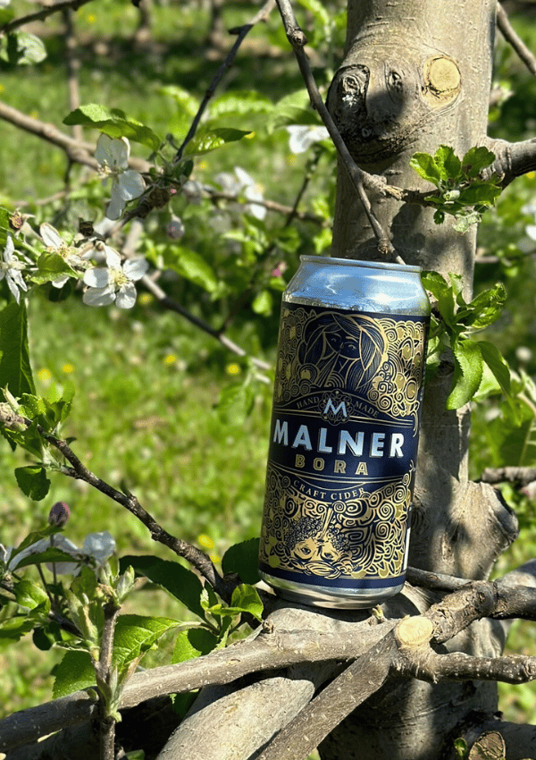 Bora pločevinka 440ml