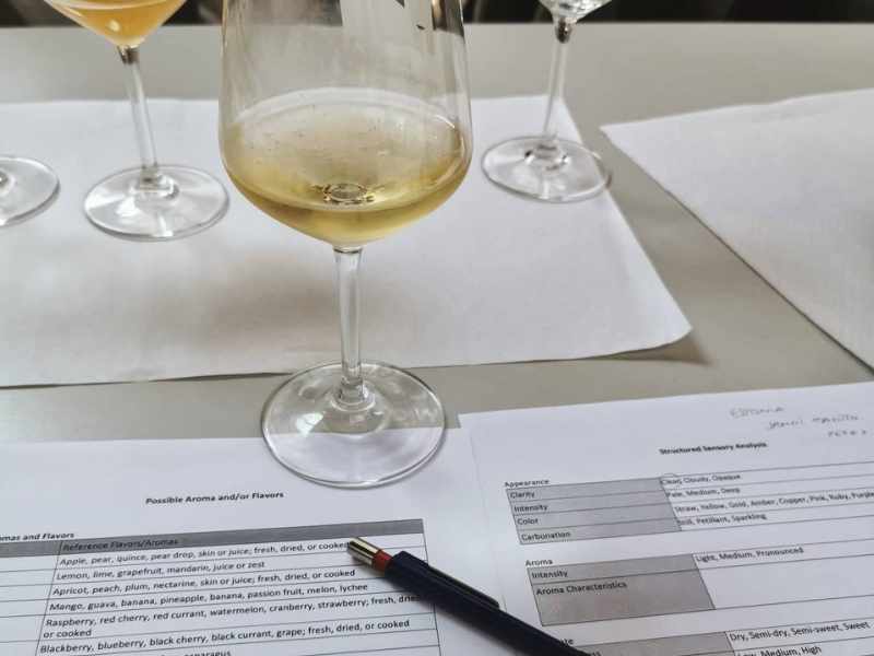 SPOZNAJ, KDO JE POMMELIER IN KAJ POČNE