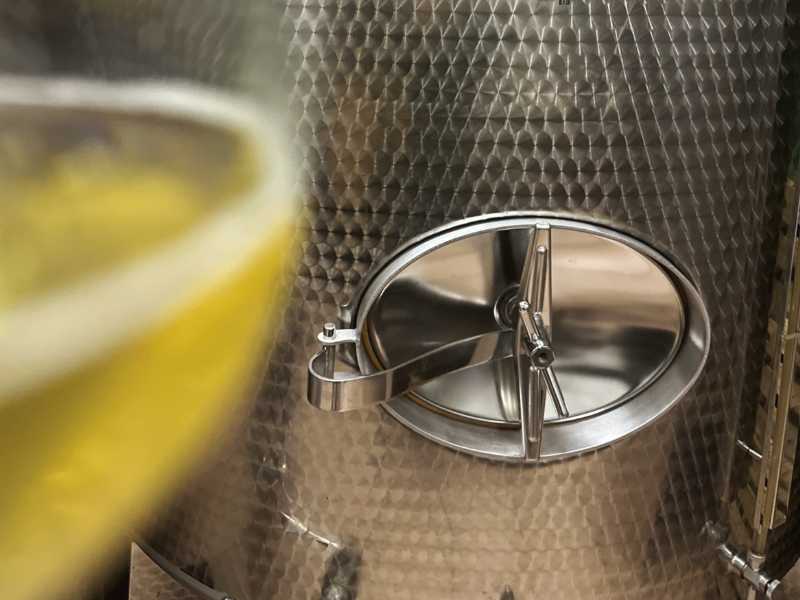 ZORENJE JABOLČNEGA VINA