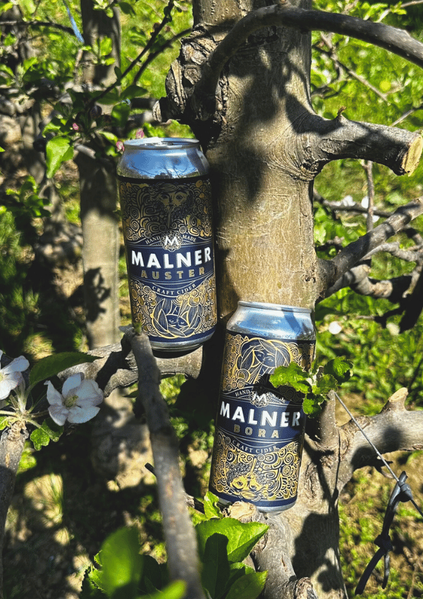 Mix pločevinka 440ml