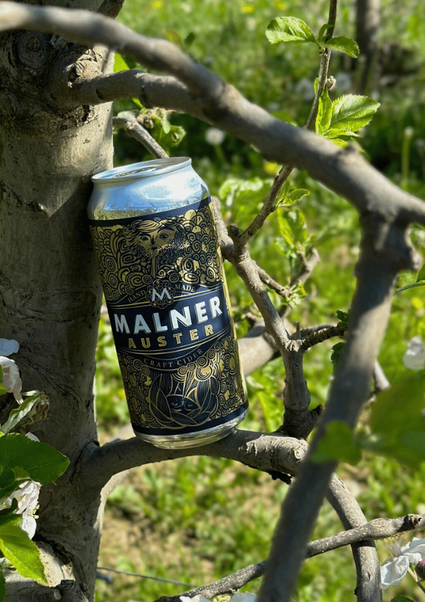 Auster pločevinka 440ml